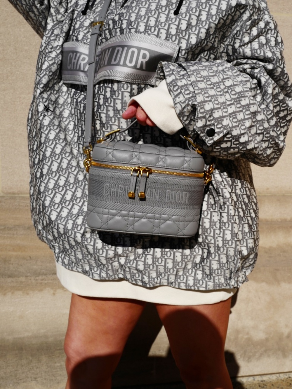 Dior Travel Vanity Lambskin Handbag